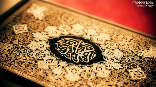 красивый коран