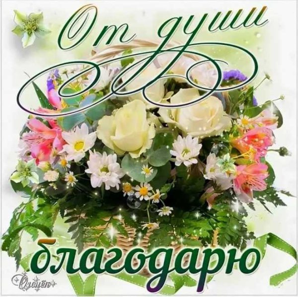 слова благодарности