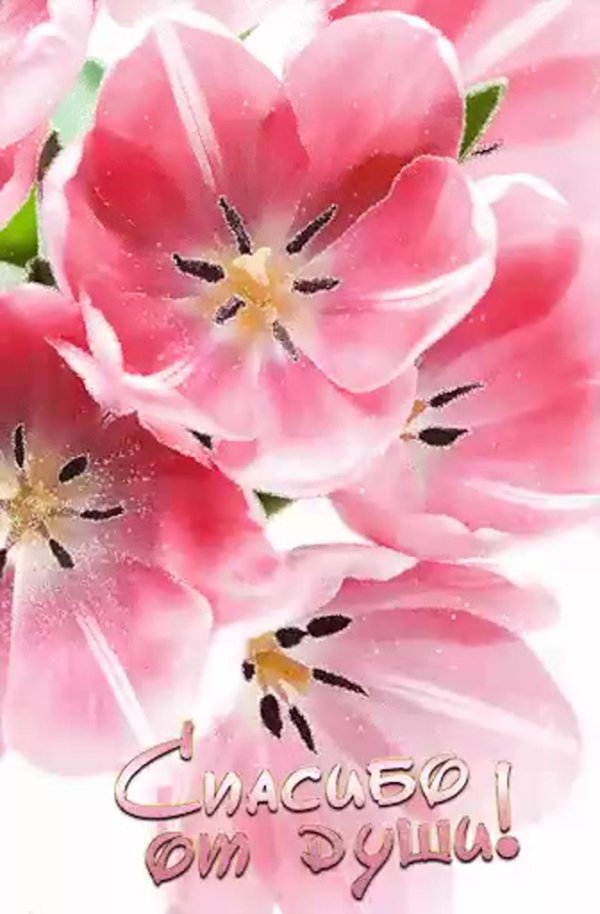 благодарим от всей души