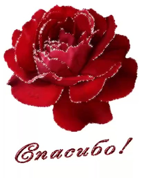 красивые стикеры спасибо