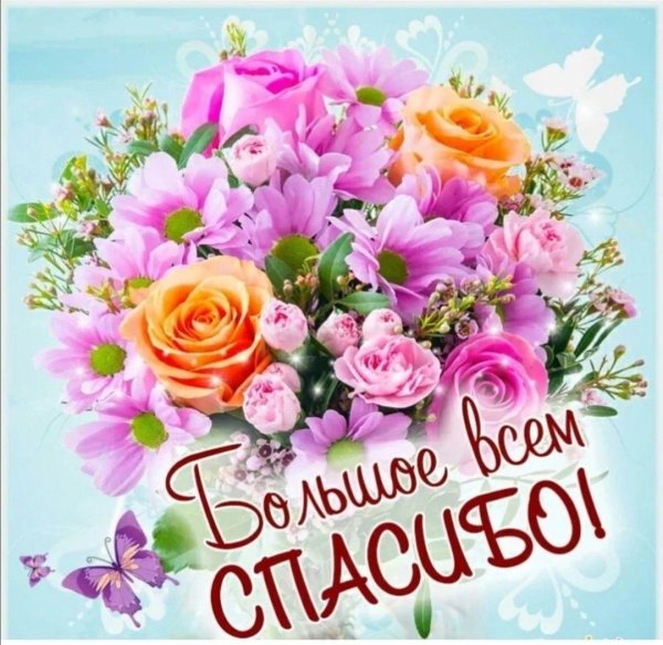 с днем спасибо