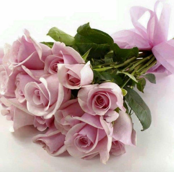 букет розовые розы