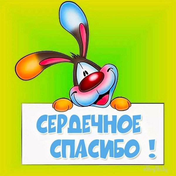 спасибо зайчик