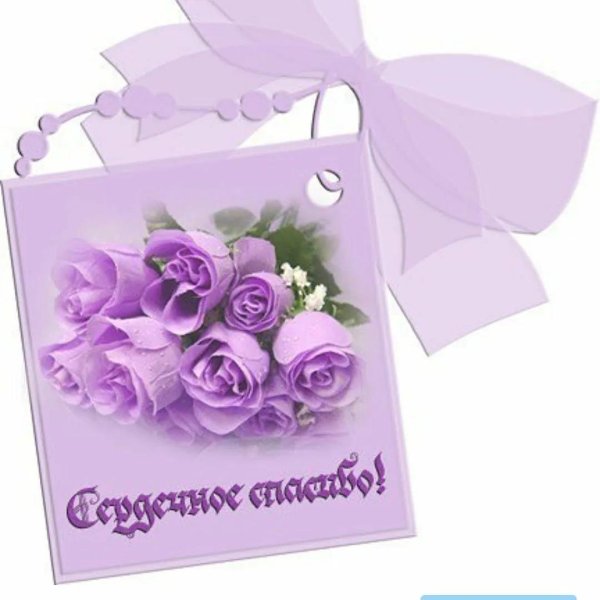 сиреневые цветы