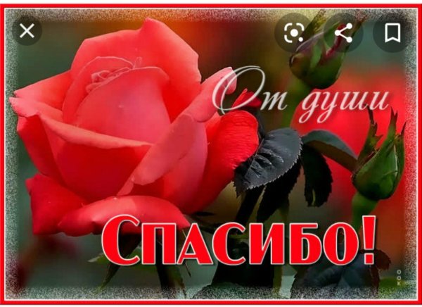 благодарим от всей души