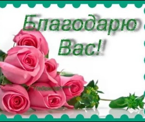 поздравляем от души