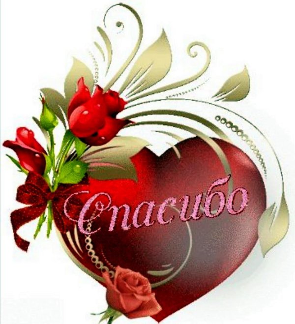 благодарю от всего сердца