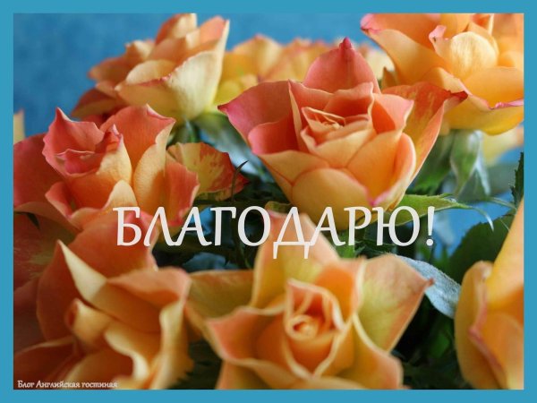 благодарим от всей души