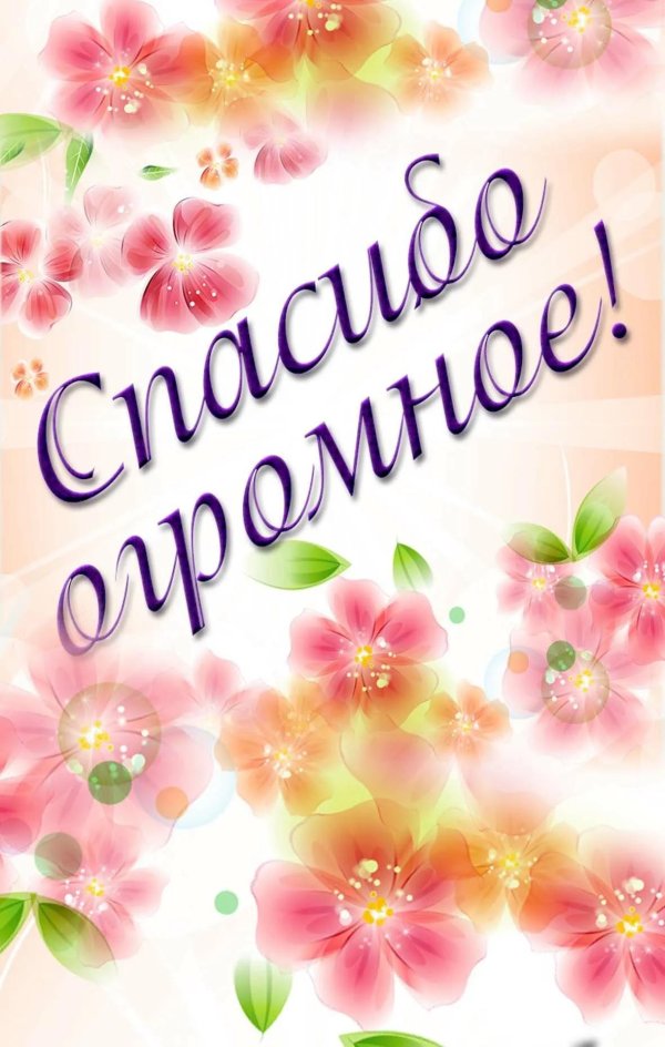 спасибо за поздравления