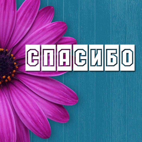 спасибо цветочек