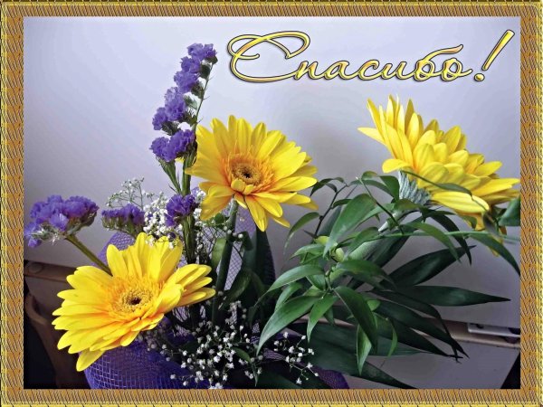 благодарю цветы