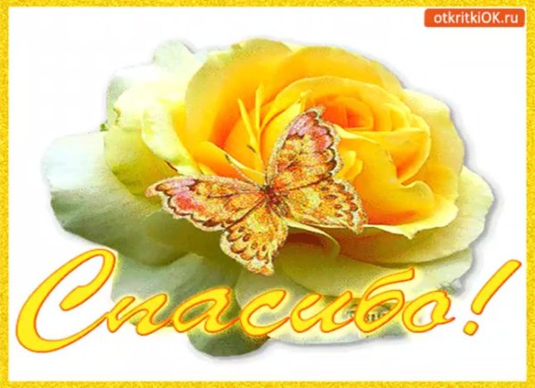 благодарность цветы