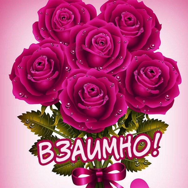 красивая цветок