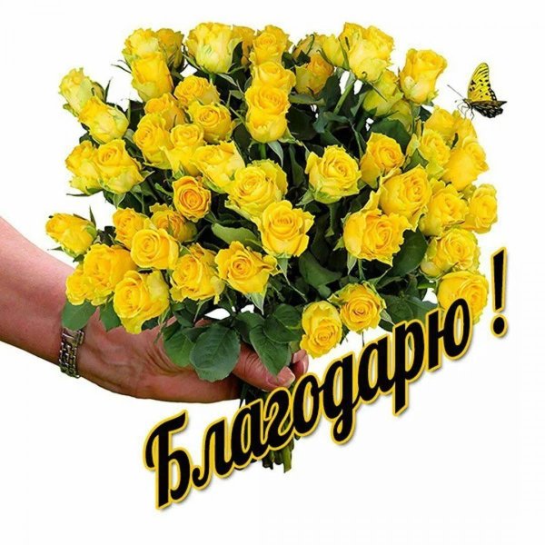 спасибо дорогая