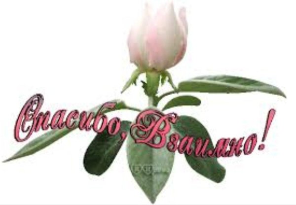 взаимно спасибо