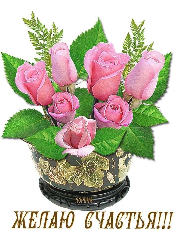 цветы поздравление