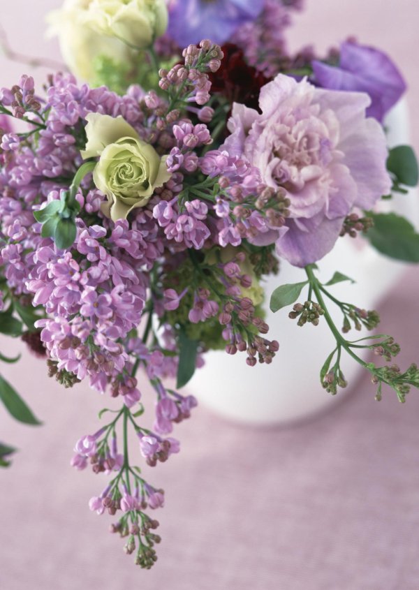 сирень букет