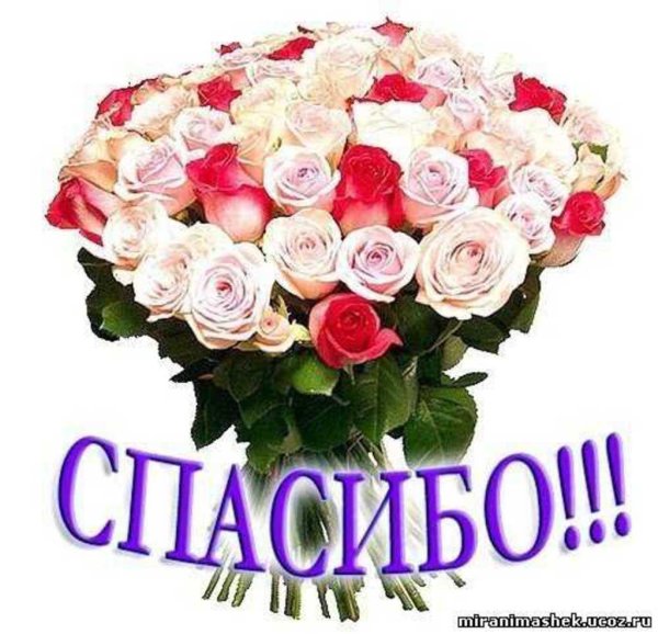 красивая букет