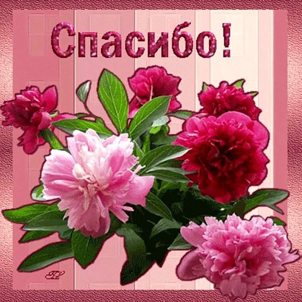 спасибо открытка