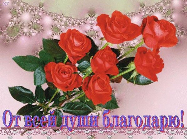 благодарим от всей души