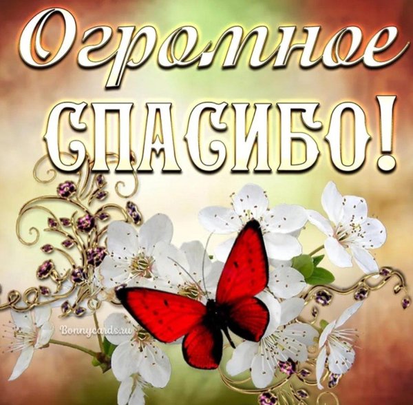 спасибо открытка