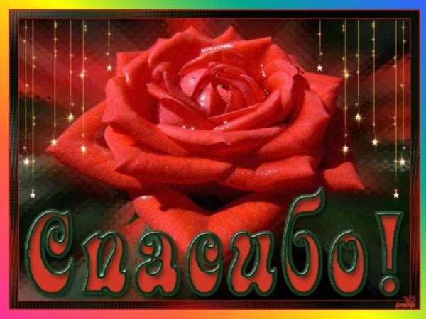 открытки красивые спасибо