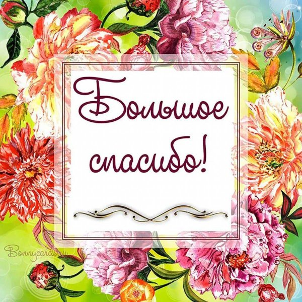 с благодарностью открытки