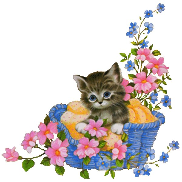 котята открытки