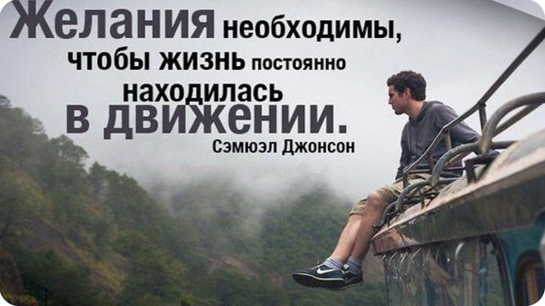 движение жизни