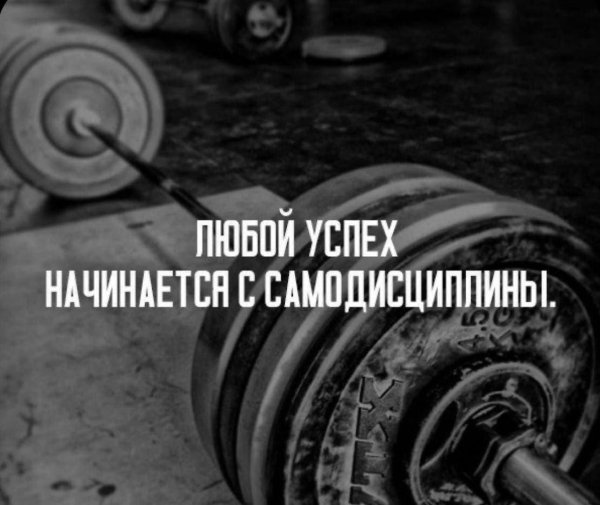 цитата спорт