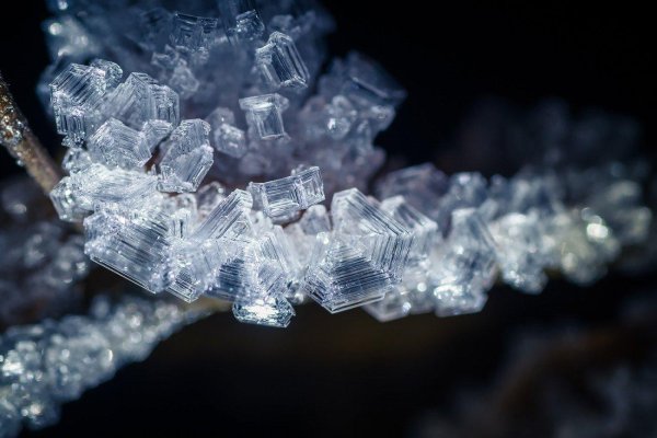 кристал тисига