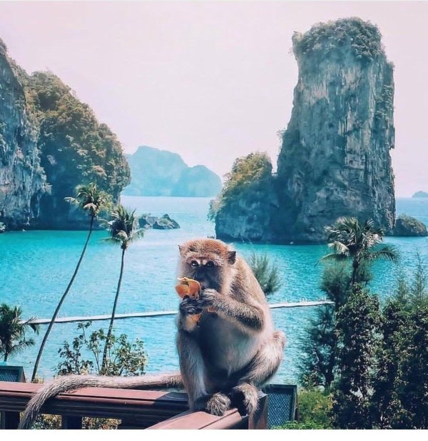 отдых на пхукете