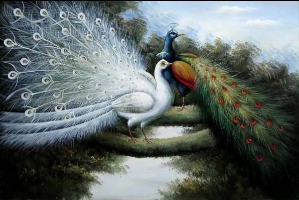 кастильоне художник павлины