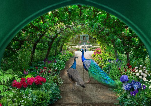 райские сады