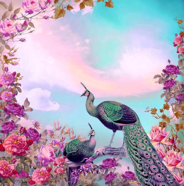 пейзаж с павлинами
