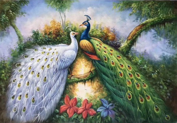 волшебный лес вриндавана павлины
