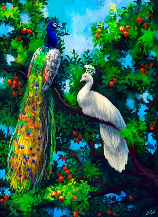 алмазная мозаика 50х65 павлины