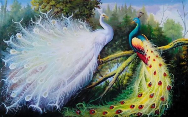 алмазная мозаика 50х65 павлины