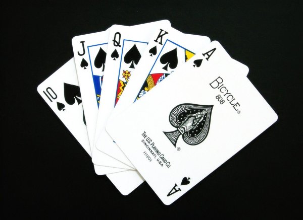 карточный фокусник