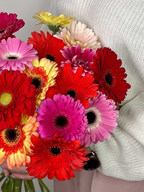 букет цветов герберы