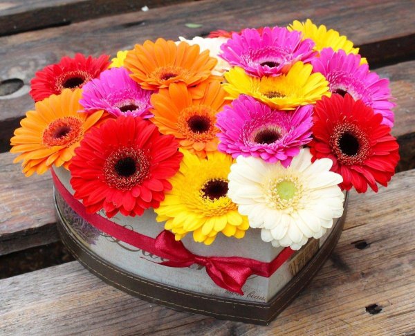 коробка с герберами