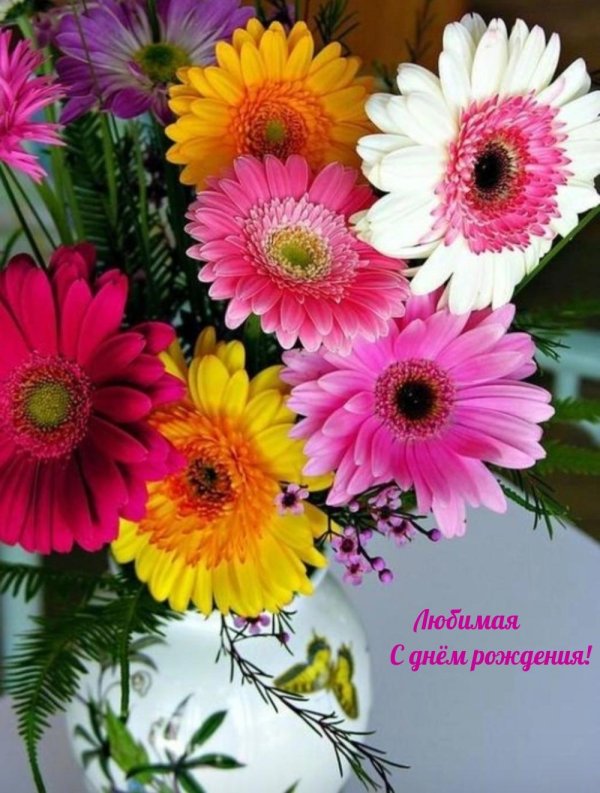 берберы цветы