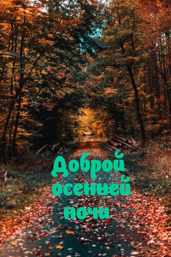 доброй ночи осени