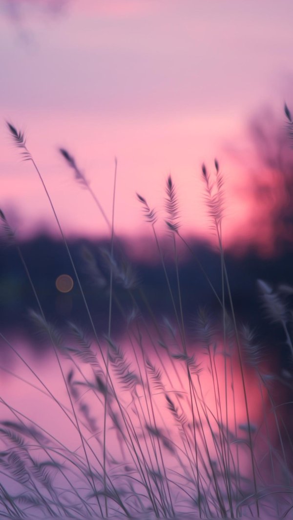 красивый фон для твиттера