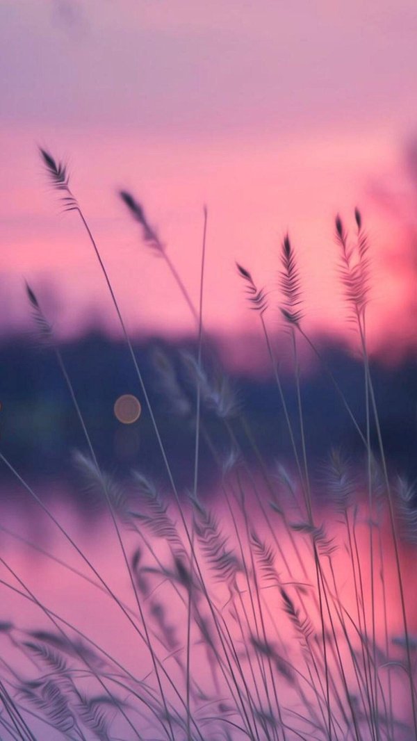 эстетичные фон