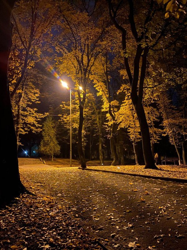 осенний парк вечером