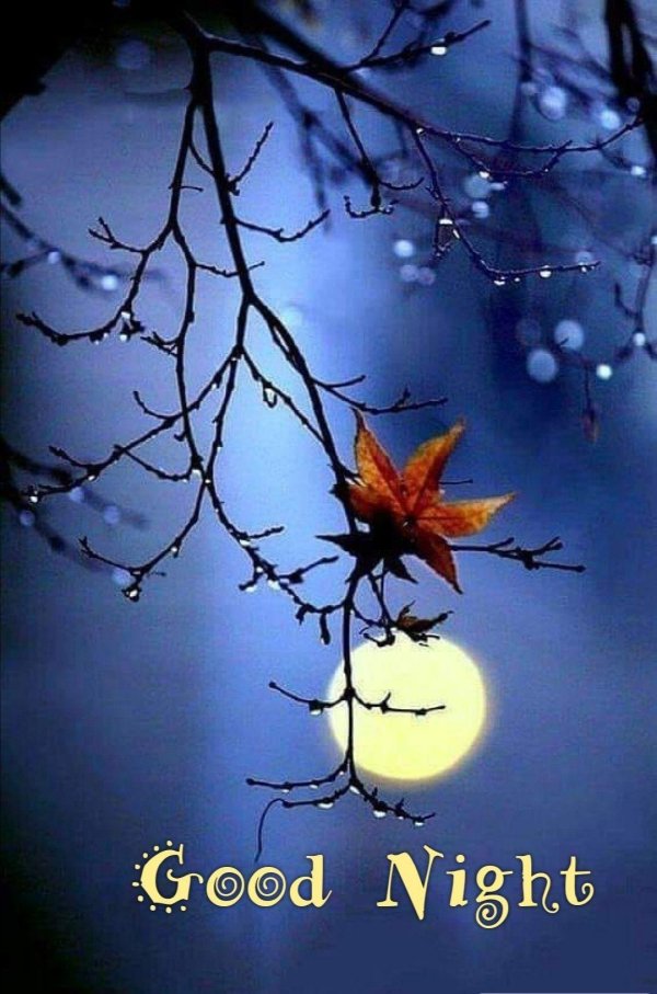 осенней ночи