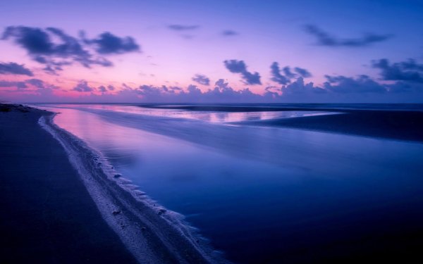 розовые закаты