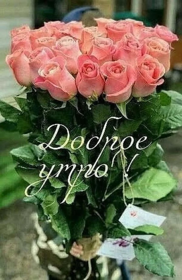 доброго утра с розами