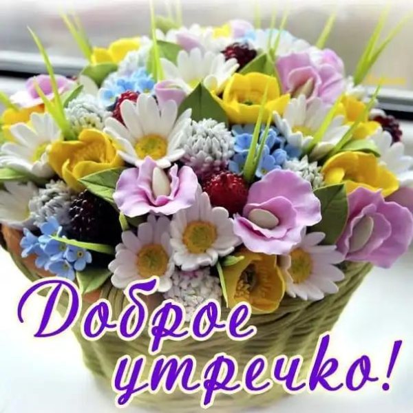 с добрым утром букет